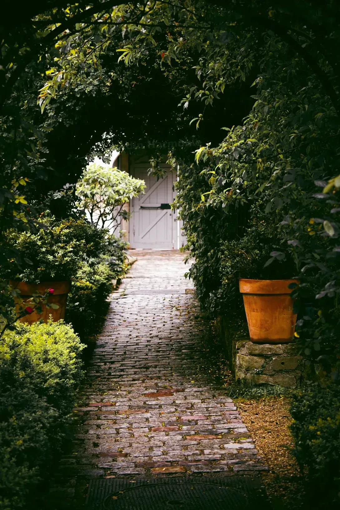 Préparer son jardin pour un printemps harmonieux