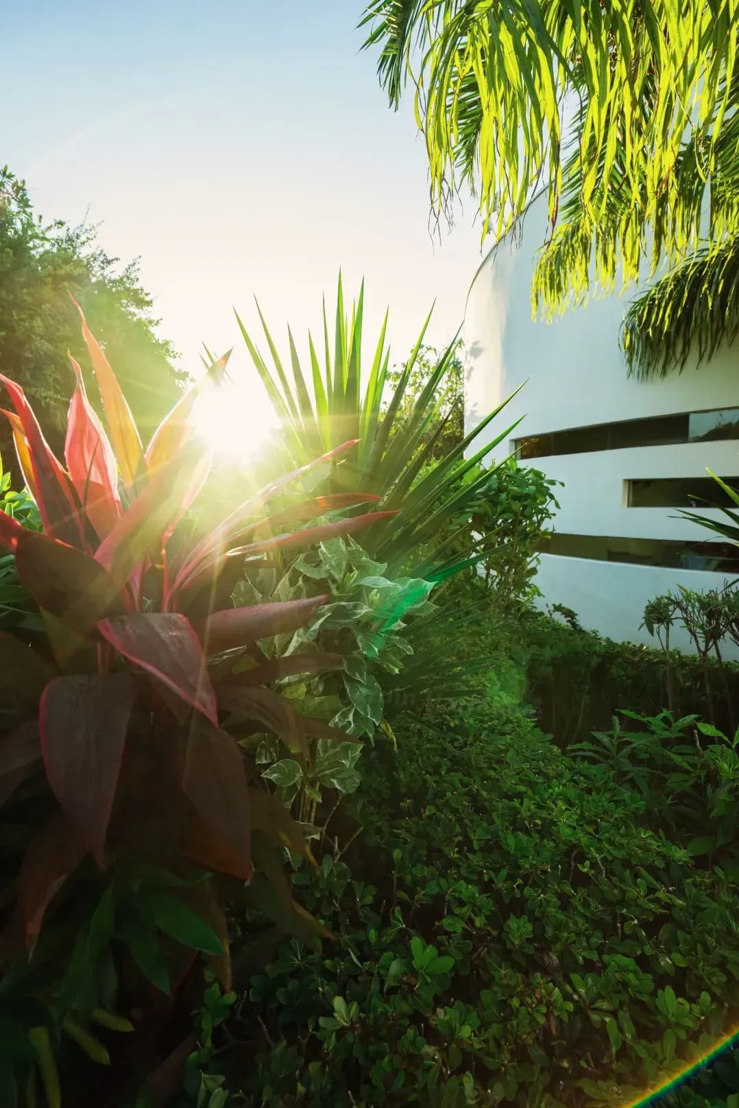 Création d’un patio végétalisé pour une terrasse urbaine