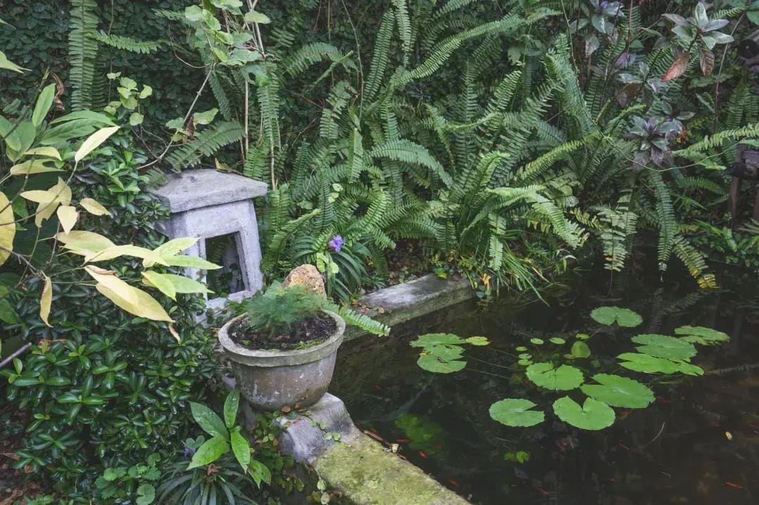 Jardin Harmonie 1