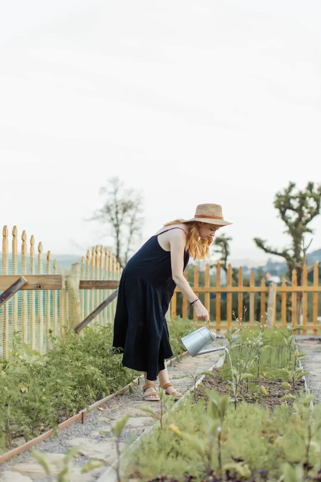 Jardin Harmonie 10