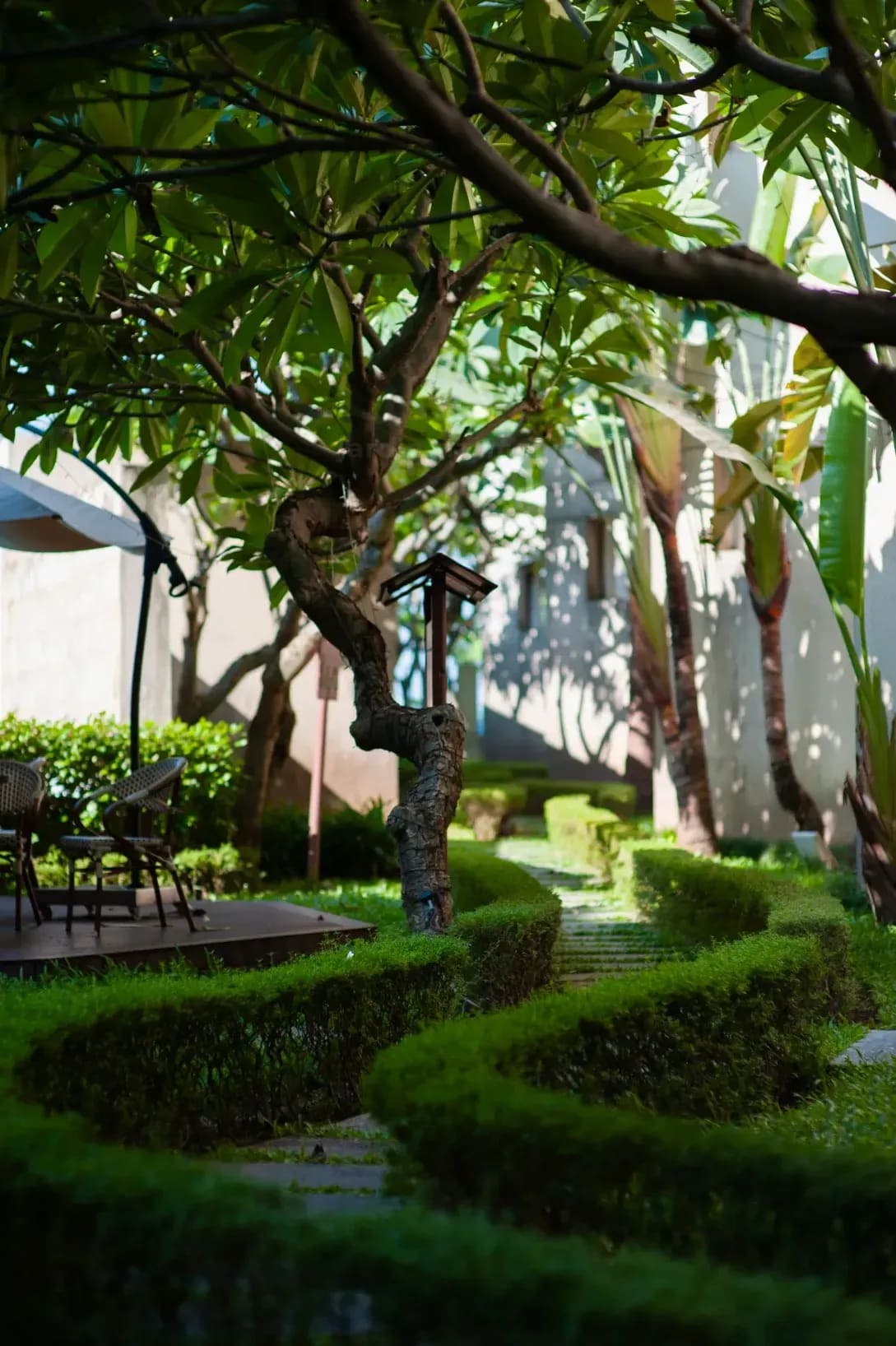Jardin Harmonie 11