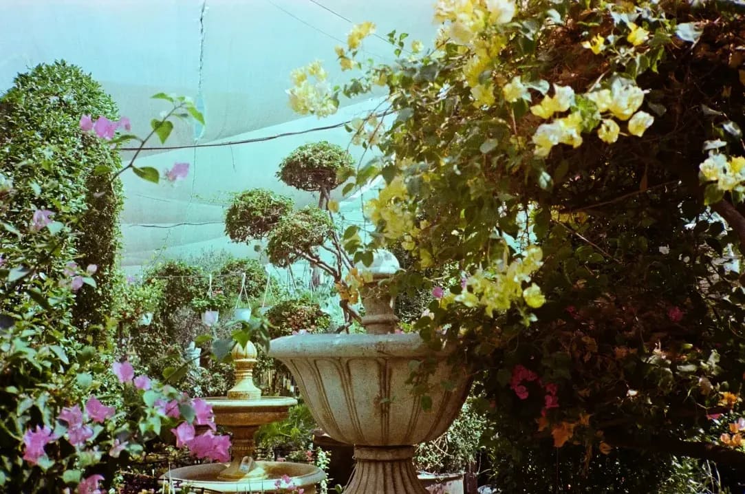 Jardin Harmonie 12