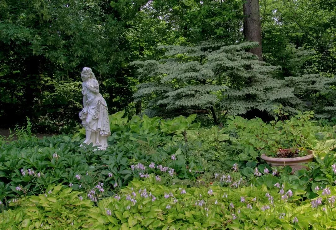 Jardin Harmonie 14