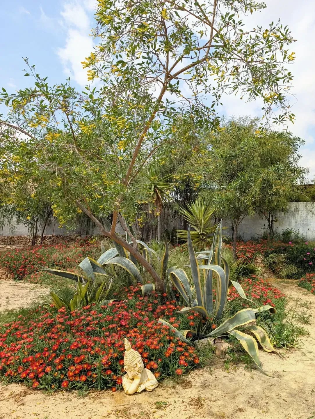Jardin Harmonie 2
