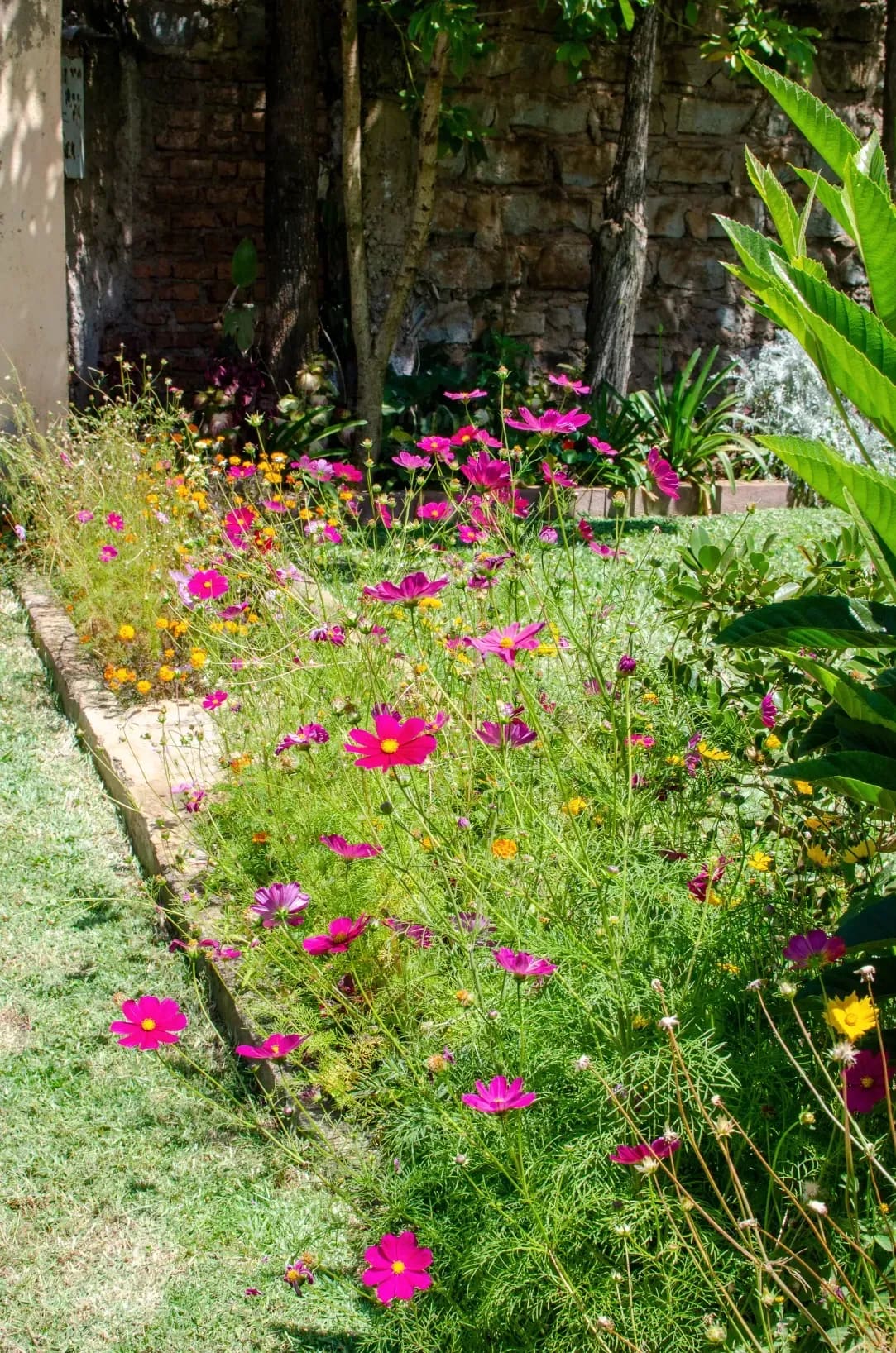 Jardin Harmonie 5