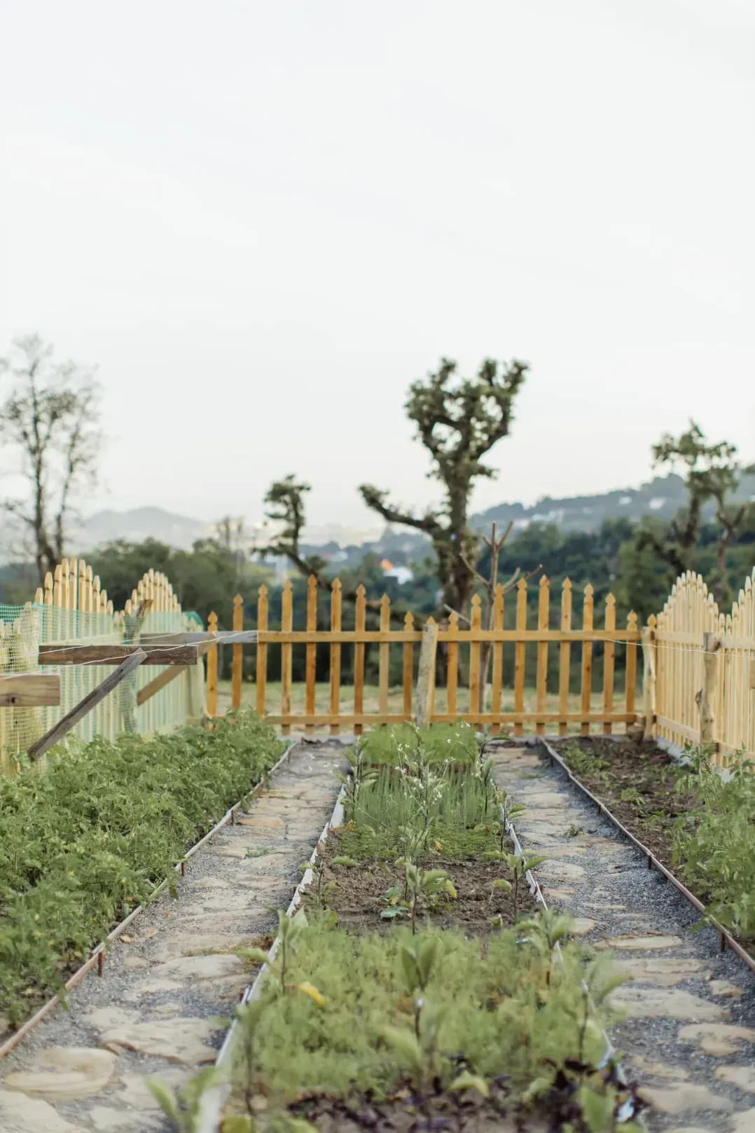 Jardin Harmonie 7