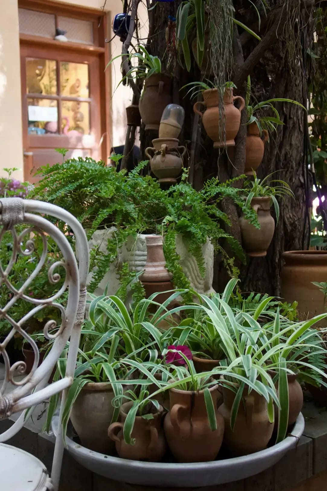 Jardin Harmonie 8