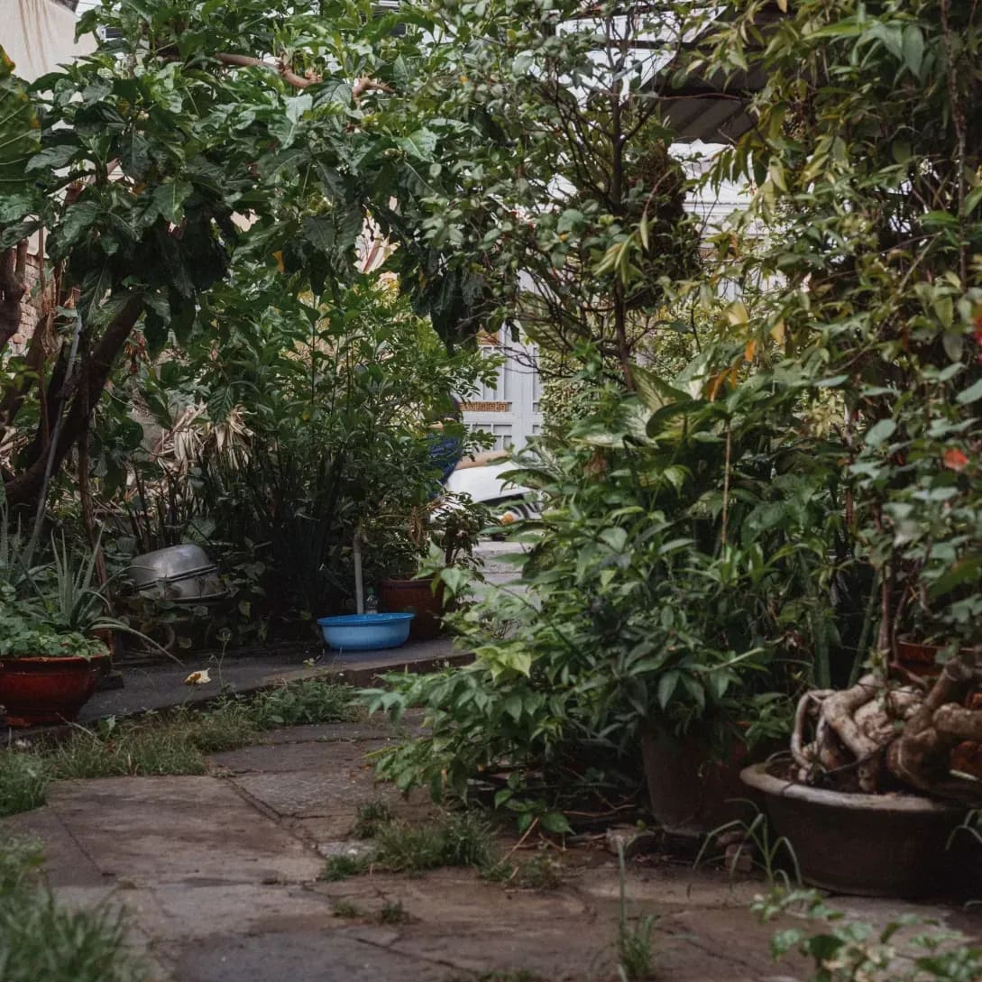 Jardin Harmonie 9