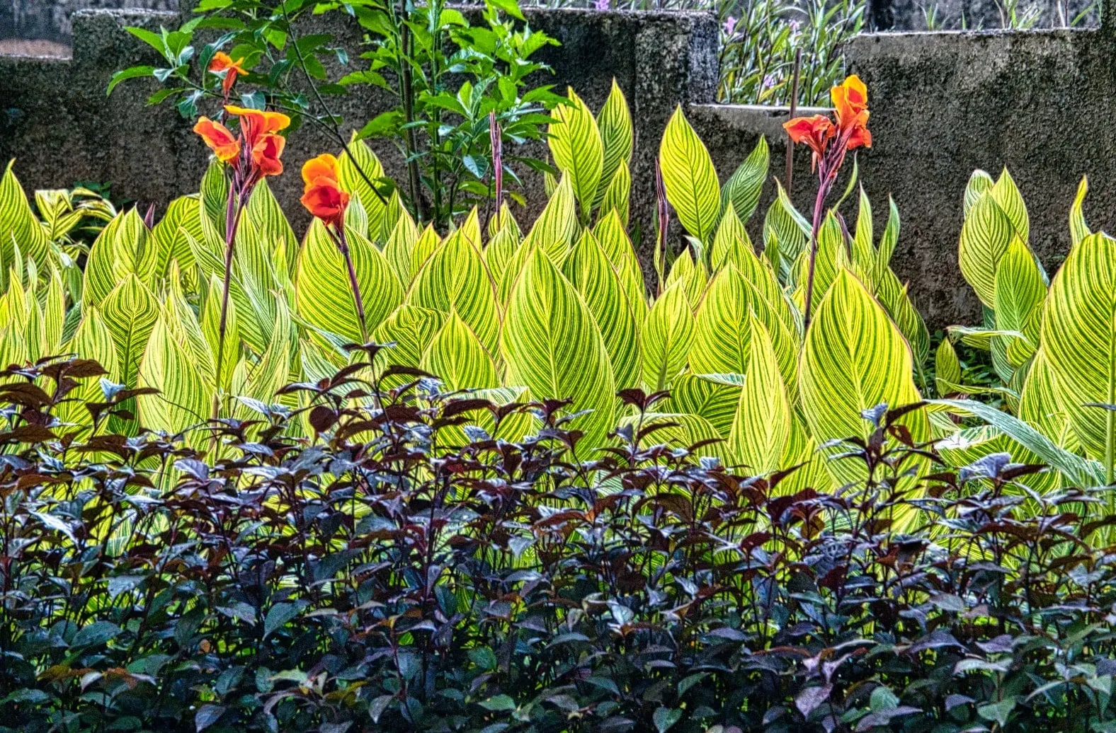 Jardin Harmonie