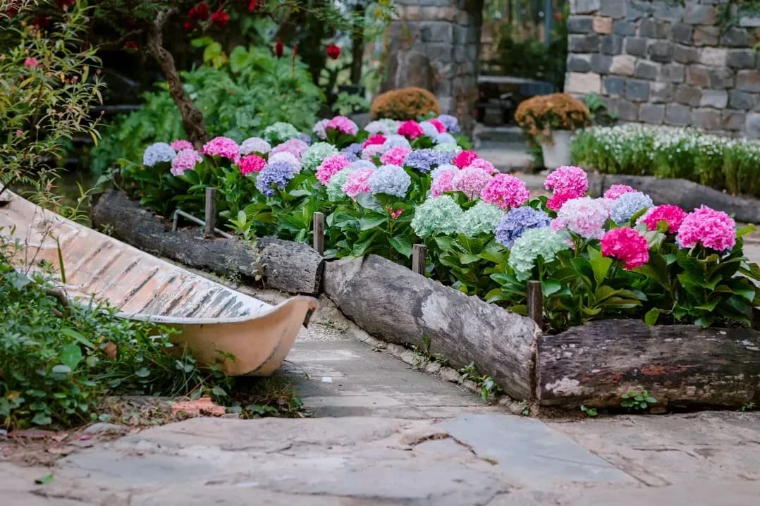 Création et aménagement de jardins